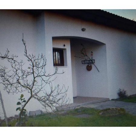 Appartamento In Villa Con Giardino A 300M Dal Lago Maggiore Castelletto sopra Ticino Exteriér fotografie